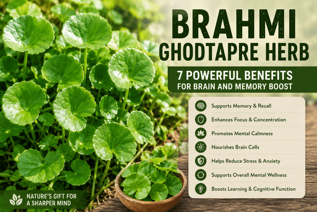 Brahmi Ghodtapre Herb