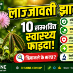 Mimosa Pudica Health Benefits: 10 Amazing Uses, Science & Safety Guide